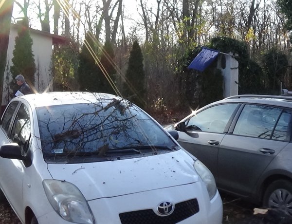 A Sóstói úti kórház bejáratánál dőlt parkoló autókra egy fa, jelentős az anyagi kár