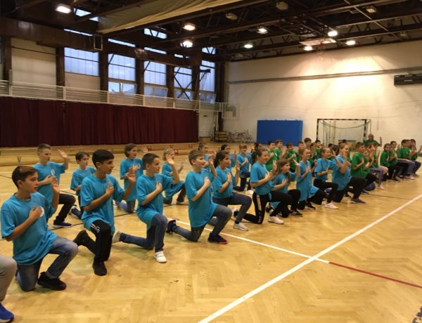 Cinke-avatót tartottak a nyíregyházi Bem József Általános Iskolában