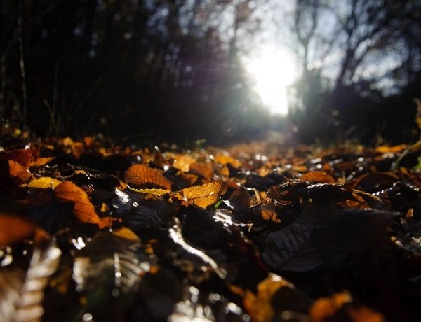 Száraz, napsütéses idő lesz a hétvégén – Hajnalban fagypont körül lehet a hőmérséklet