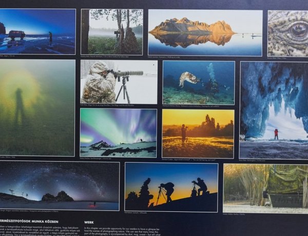 Magyarország és Közép-Európa legrangosabb természetfotós pályázatának képei a VMKK-ban