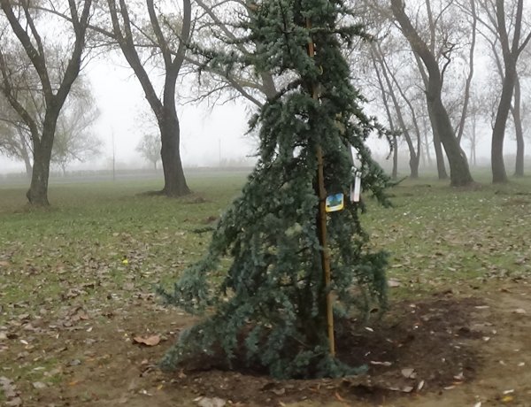 Tovább folytatódik a fásítási program – Egyre többen csatlakoznak az akcióhoz