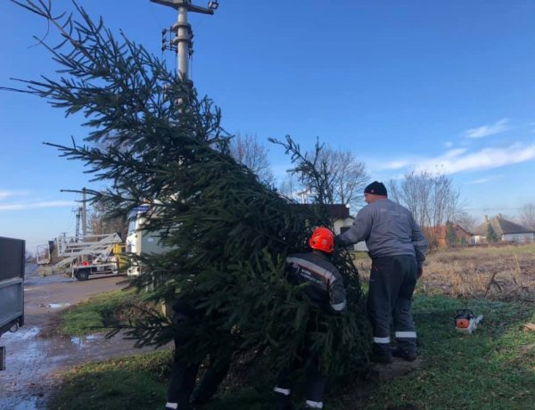 NYÍRVV: Butykára, Mandabokorba és Rozsrétszőlőre is megérkeztek a városrészek karácsonyfái