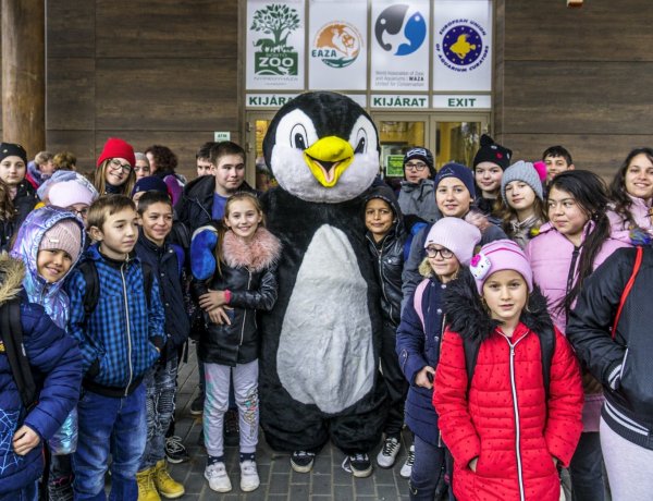 Rekord mennyiségű adomány gyűlt össze a Nyíregyházi Állatpark 100 forintos napján