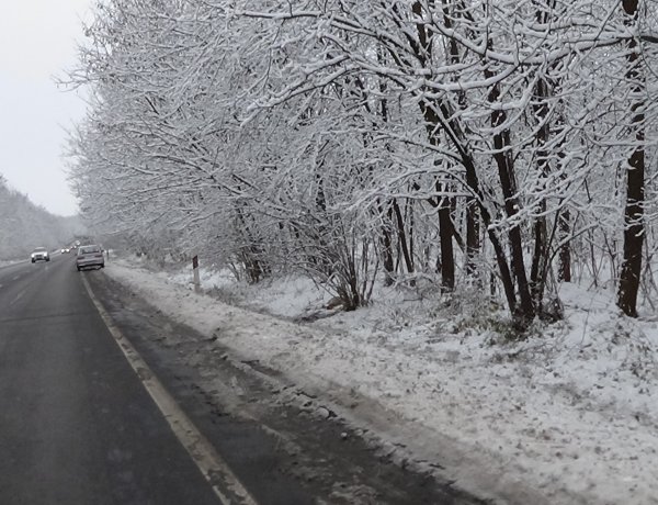 Vadgázolás a Sóstói úton – Az ismeretlen tettes elhagyta a helyszínt
