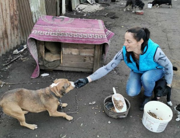 Jót tenni jó! Jótékonysági torna a kóbor állatok megsegítésére, a Jósavárosi Művelődési Házban