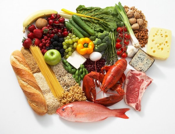 Doktorandusz Konferenciát tartottak  Nyíregyházán - 80 előadás hangzott el a rendezvényen