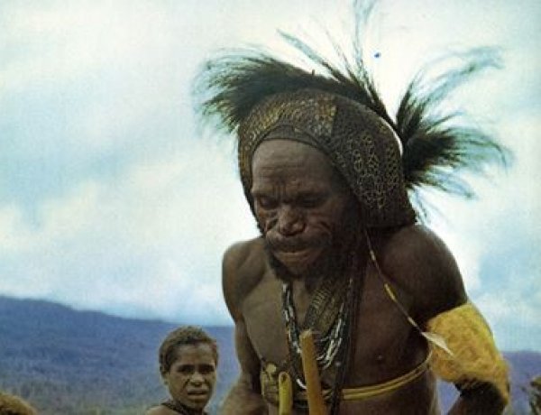 Sziklától a kőbaltáig, az erdőtől a sivatagig - Új kiállítás nyílt a múzeumban