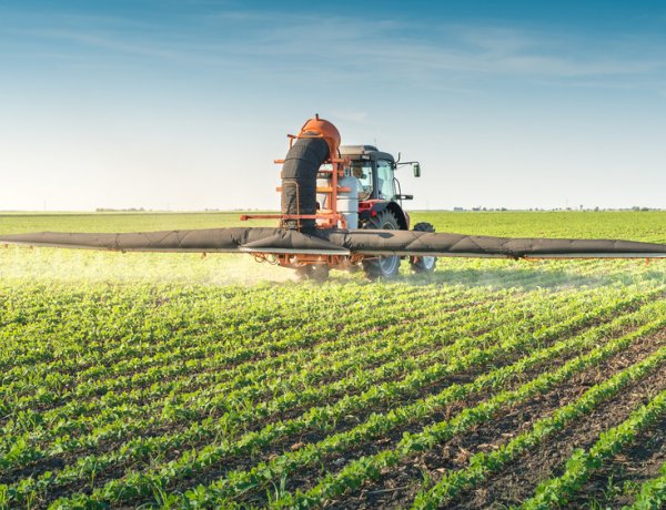 Virtuális térben zajló vetélkedőn értek el sikert a Nyíregyházi Egyetem hallgatói! 