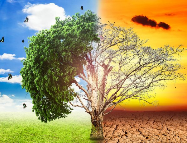 A hazai nagyvárosok továbbra is a klímavédelem magyarországi élharcosai