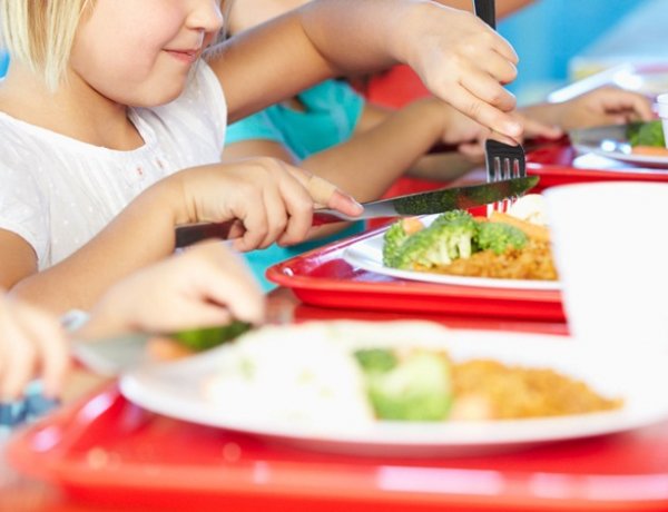 Tájékoztatás a téli gyermekétkeztetés igénybevételéről – Részletek itt!