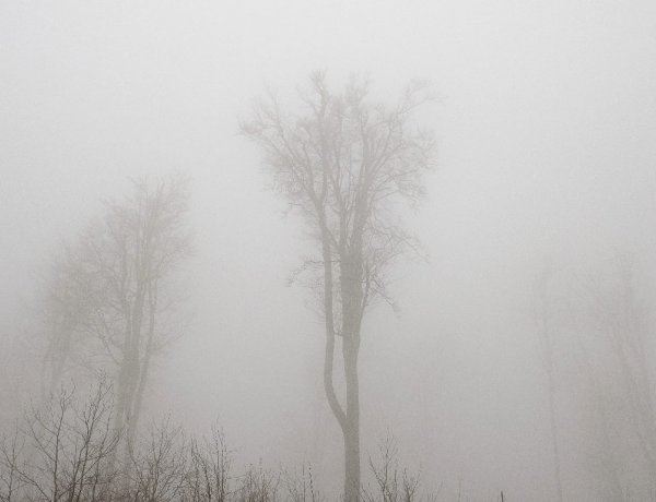 Ködre, napsütésre és szélre is készülhetünk – Csapadékmentes idő várható!