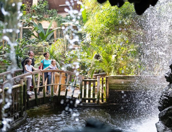 A Zöld Piramis tízéves jubileuma alkalmából fél áron látogatható a Nyíregyházi Állatpark