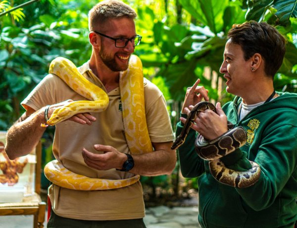 December 27-én bepillanthatnak a látogatók a Nyíregyházi Állatpark kulisszái mögé