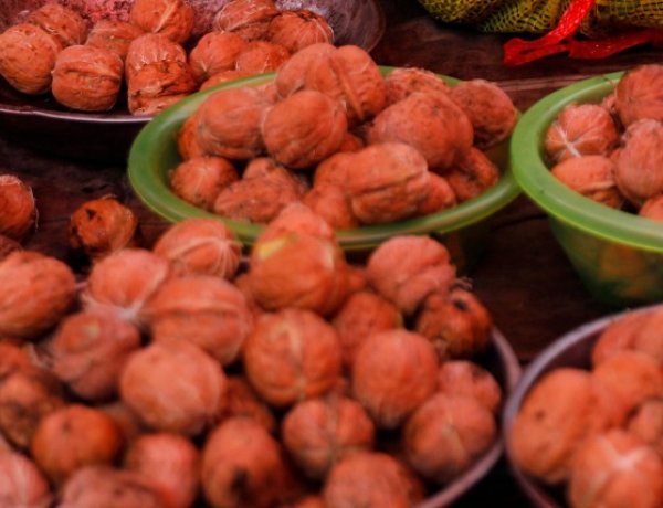  A magyar dió igazi réspiaci prémiumterméknek számít Európában