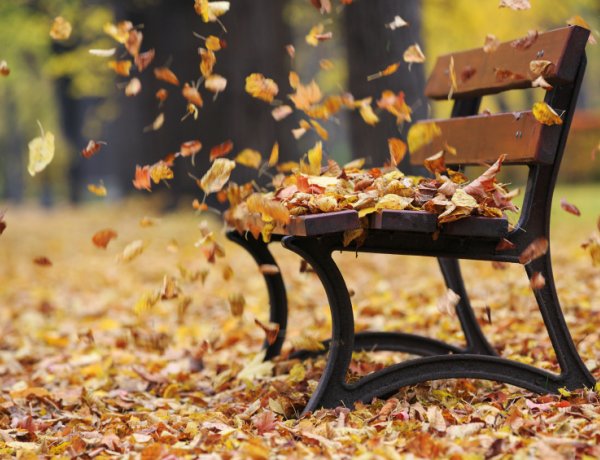 Széllökésekre figyelmeztet a meteorológiai szolgálat - Megérkezett a hideg is