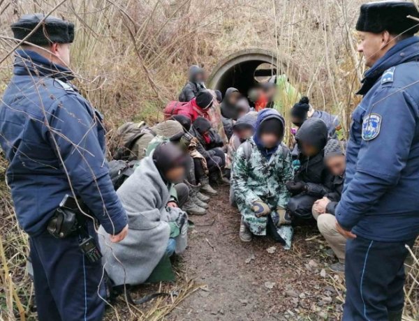 Újabb húsz illegális migránst fogtak el a határnál, Ártánd külterületén