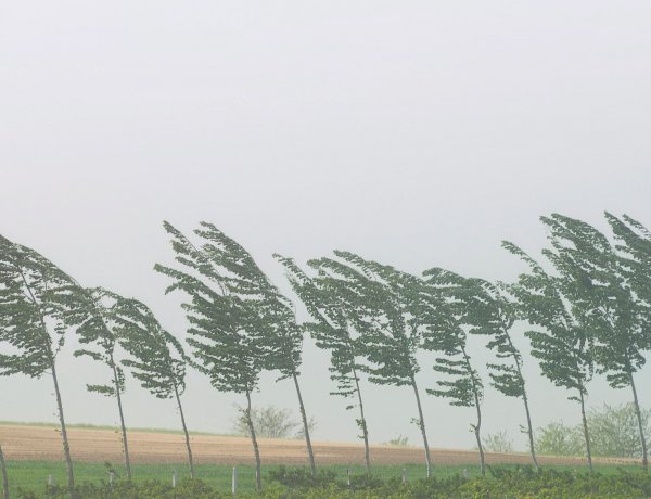 Az ország nagy részére figyelmeztetést adott ki az Országos Meteorológiai Szolgálat