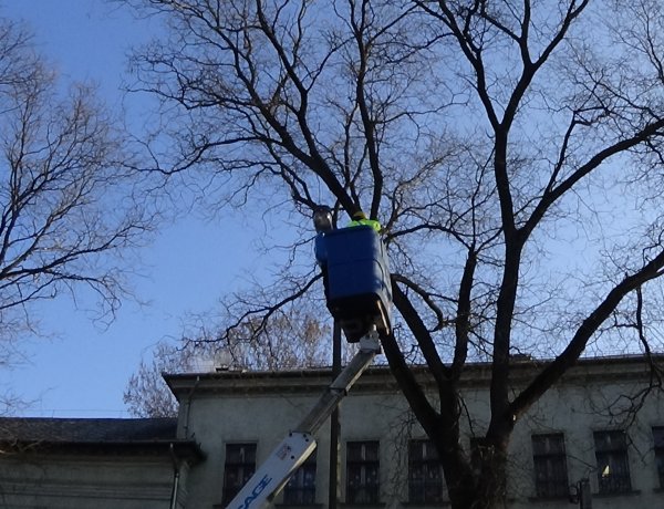 Forgalomkorlátozás mellett végeztek munkálatokat a E.ON munkatársai a Szarvas utcán