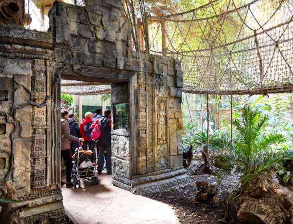 Télből a nyárba – Irány a Nyíregyházi Állatpark Zöld Piramisa, a trópusi meleg garantált