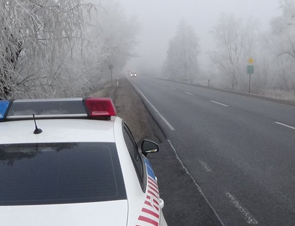 Vaddal ütközött egy jármű Császárszállásnál, az őz túlélte az esetet, a kár jelentős
