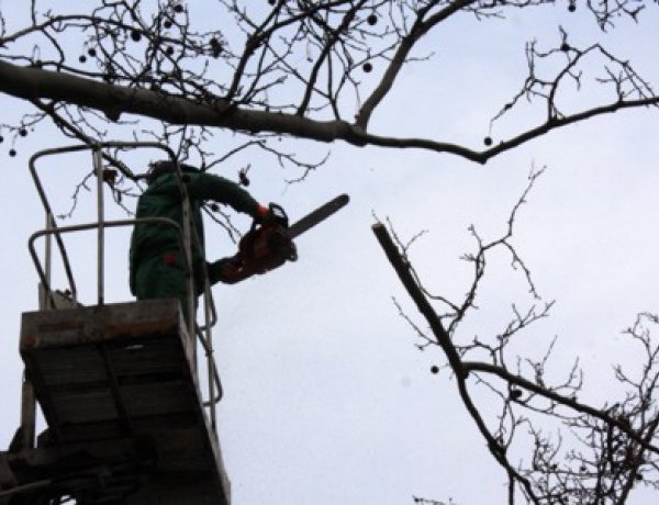 Gallyazási munkálatokat végez a NYÍRVV Nonprofit Kft. - Áramkimaradás lesz