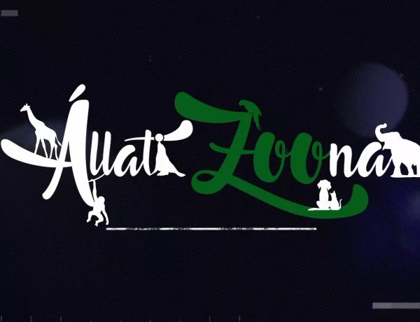 Állati Zoona – A félelem barlangja, terápiás kutyamasszázs és anyai gondoskodás