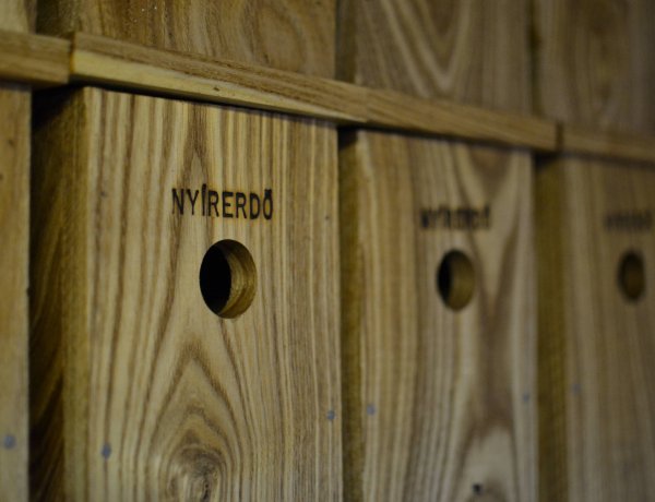 Odafigyelnek a madarakra Nyíregyházán – Folyamatosan bővül az odútelep