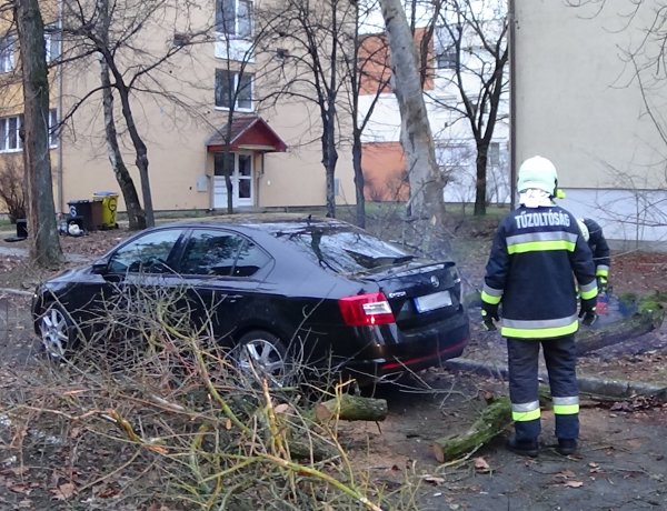 Parkoló autóra szakadt faághoz riasztották a nyíregyházi tűzoltókat, a kár jelentős