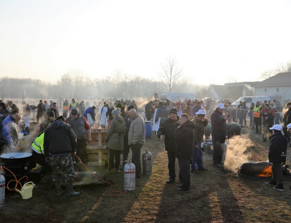 Hagyományőrzés és szórakoztatás a Disznótoros Fesztiválon    