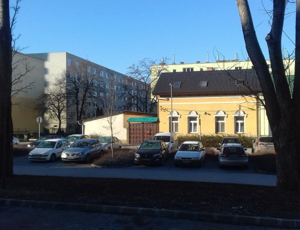 Fakivágás a Toldi utcán – Kérik az ott parkolókat, ne akadályozzák a munkálatokat