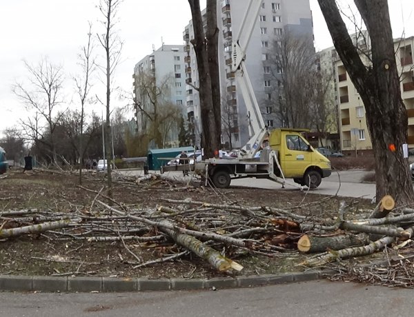 Ismét akadályba ütköztek a szakemberek a Toldi utcán – A munkálatok folytatódnak