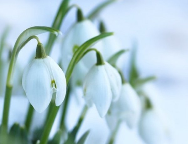 Zenés irodalmi műsorral búcsúztatják a telet a Móricz Zsigmond könyvtárban