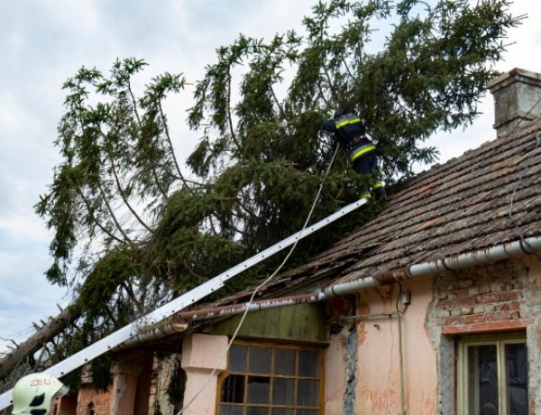 Fákat döntött ki, épületeket rongált meg a viharos szél országszerte