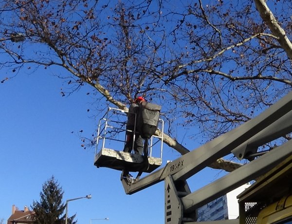 Gallyazási munkálatokat végeztek a Kossuth utcán, folytatódnak a munkák