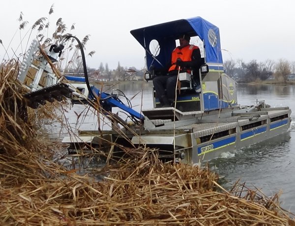 Nádvágási munkálatokat végeznek a Bujtosi Városligetben – Új eszközt is bevetettek!