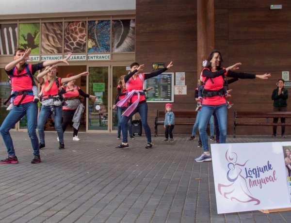 Elindul a „Babahordozás helyesen!” című lakossági szemléletformáló program