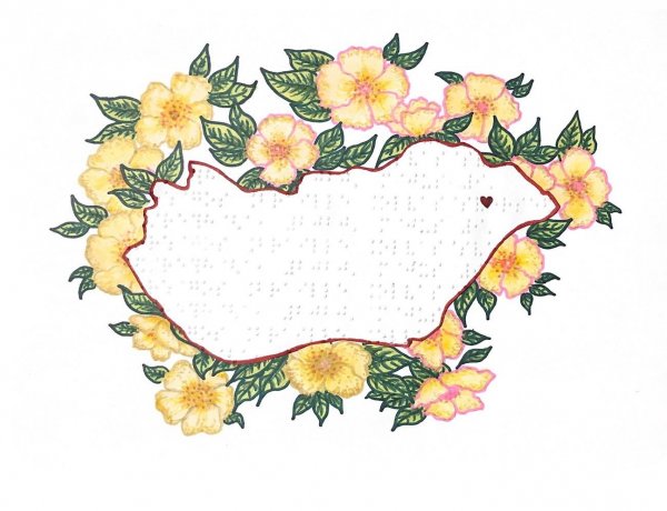 Országos Braille Olvasásverseny Nyíregyházán - jelentkezés április 29-ig!