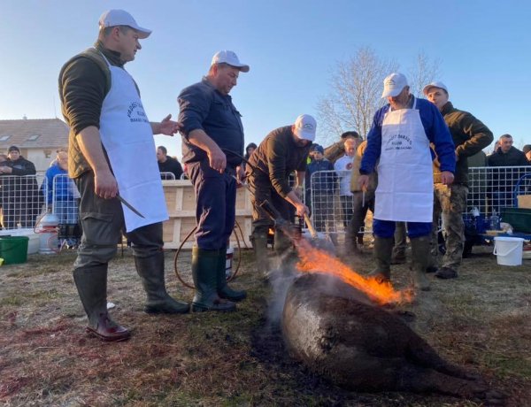 Már készülnek az ételek a Disznótoros Fesztiválon! - Videó a helyszínről a részletekről!