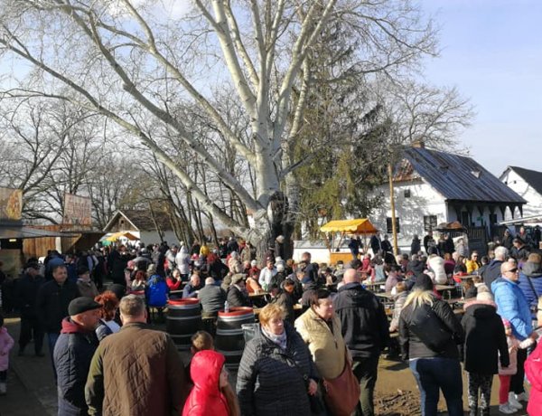 Már biztos, hogy rekordot dönt az idei Disznótoros Fesztivál a látogatók számát tekintve
