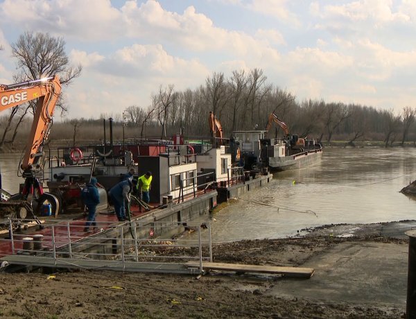 Teljesen megtisztult a hulladéktól a Tisza egyik legszennyezettebb ártéri erdeje
