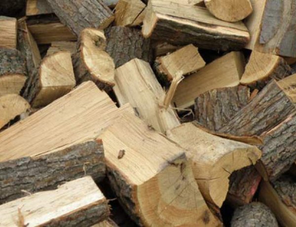 Véget ért a szociális tűzifaprogram a NYÍRERDŐ-nél – 157 településről igényeltek fát