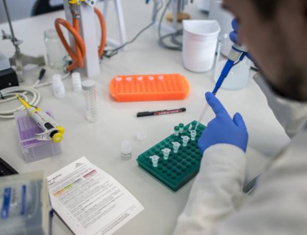 Friss információk – Tovább nőtt a koronavírus-fertőzöttek száma Magyarországon