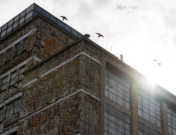 A rendőrség ellenőrzi majd a hatósági házi karantén betartását