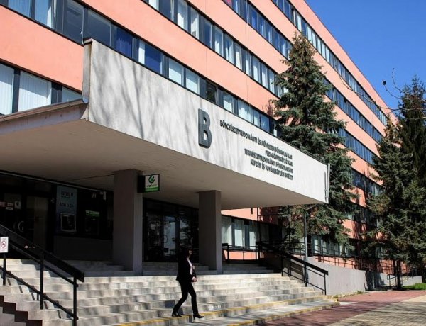 Hivatalos információk a Nyíregyházi Egyetemtől – Minden vonatkozó részlet egy helyen!