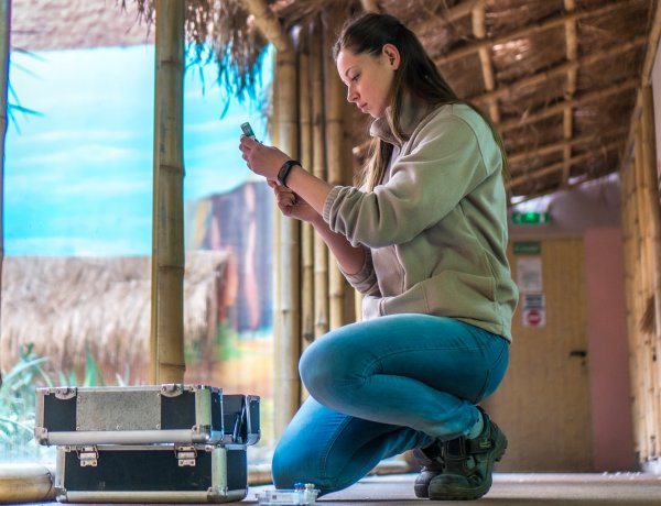 Közönségdíjas az állatpark munkatársa az Év Állatgyógyászati Asszisztense megmérettetésen