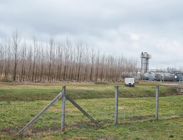 16 és fél hektárnyi sikeres kármentesítés Borbányán - 324 ezer darab növény 