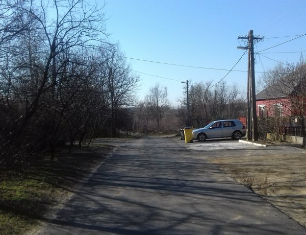 Favágási munkálatok végeznek az E.ON szakemberei kedden Sóstóhegyen