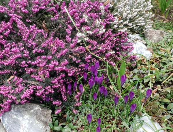 Küldjön Ön is fotót! – A feszült mindennapok apró szépségeit kapta lencsevégre olvasónk