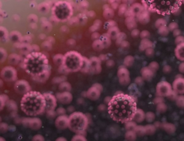 A nyíregyházi Kiss Zoltán vezetésével izolálták a vírust – Nekünk korábban már nyilatkozott!