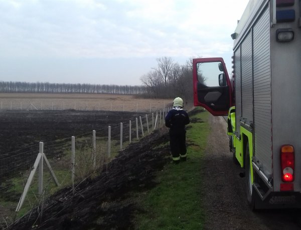 Egy hektáron égett a száraz aljnövényzet Nagyszállásnál, tűzoltók oltották el a lángokat